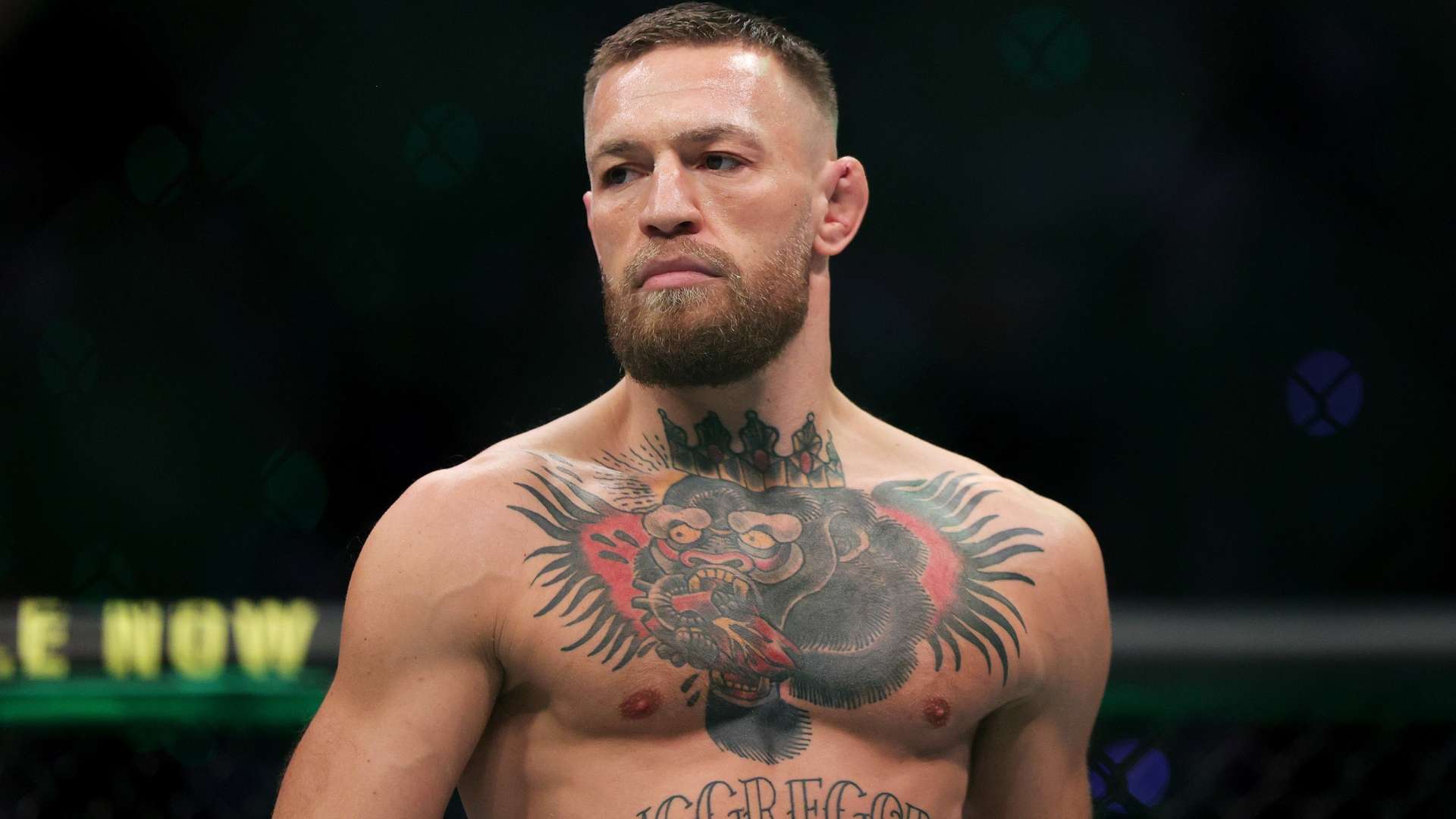 英冠焦点战：诺维奇城蓄势待发迎战布莱克本